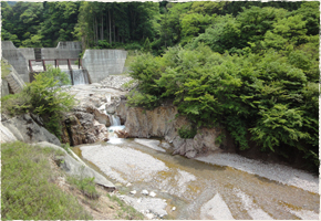 使用している山水の上流はこんなに緑が生い茂る美しい場所です。